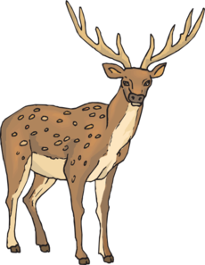 Deer With Large Antlers Clip Art